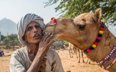 La Fiera di Pushkar